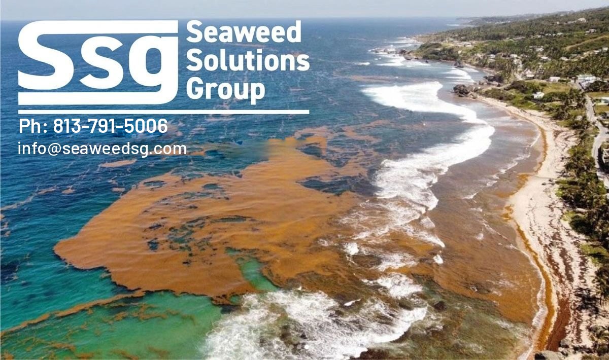 Meet us in Cancún: 4th EU–Caribbean Conference on Sargassum